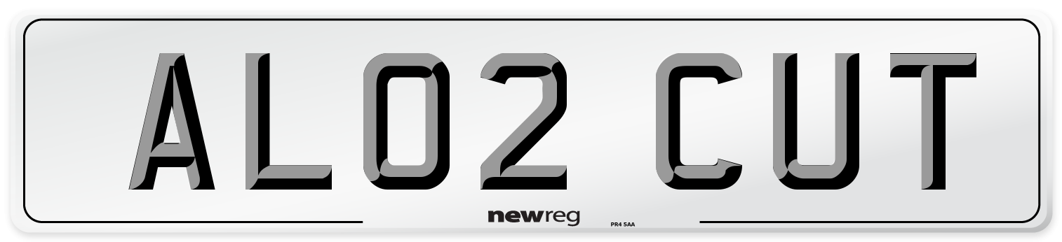 AL02 CUT Number Plate from New Reg